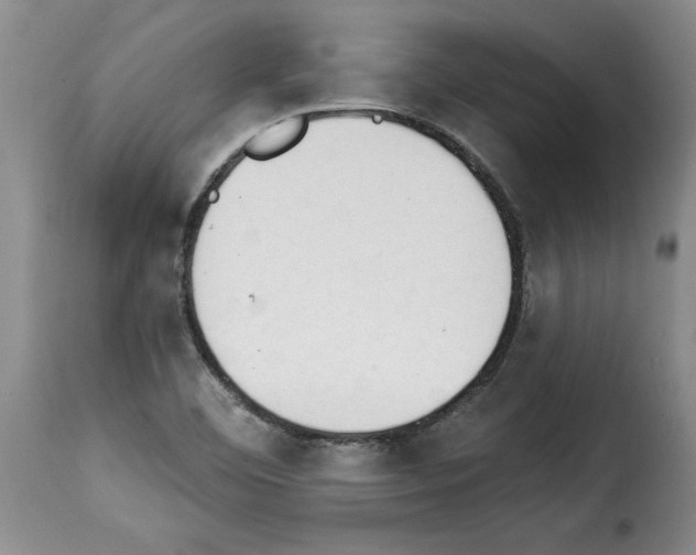 X0000114241460200911201122