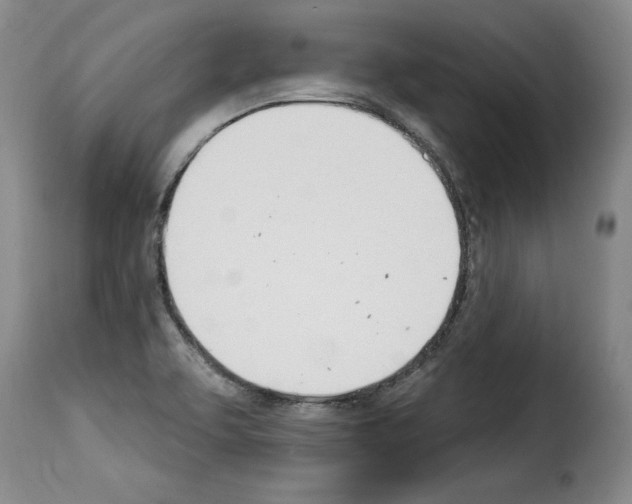 X0000114241463200911201122