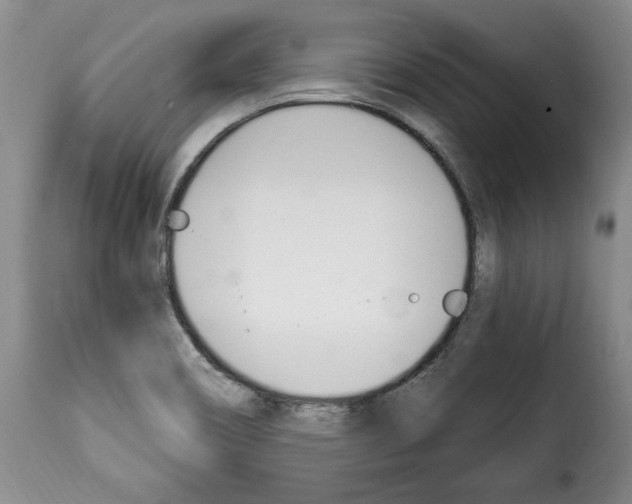 X0000114241466200911201122