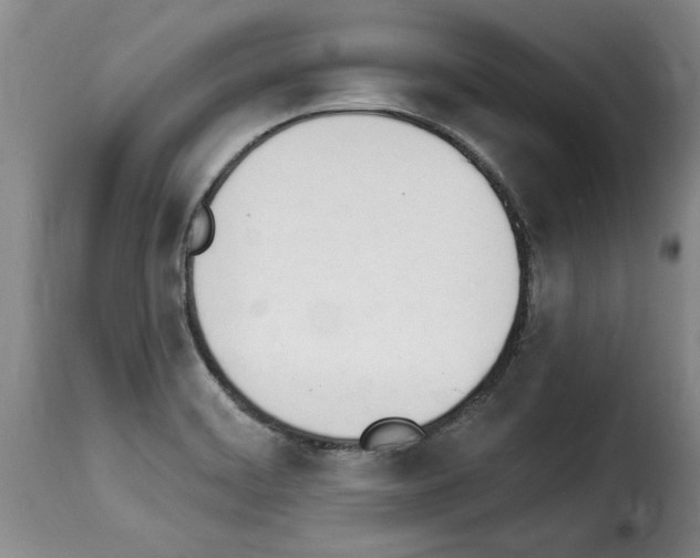 X0000114241468200911201122