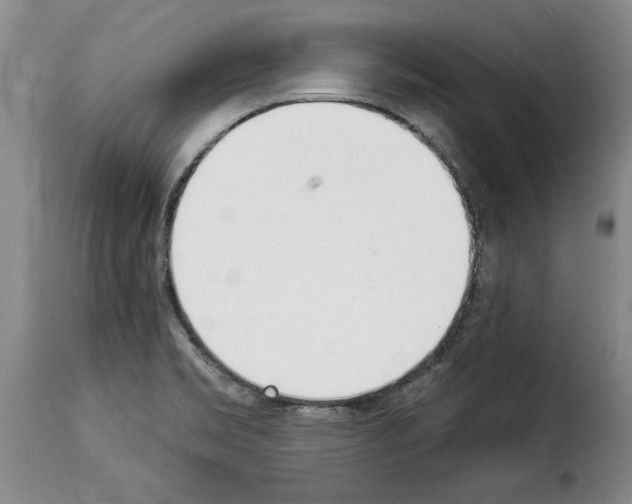 X0000114241469200911201122