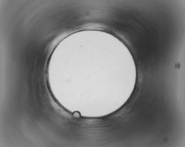 X0000114241471200911201122