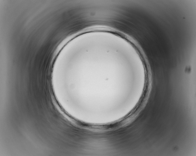 X0000114241473200911201122