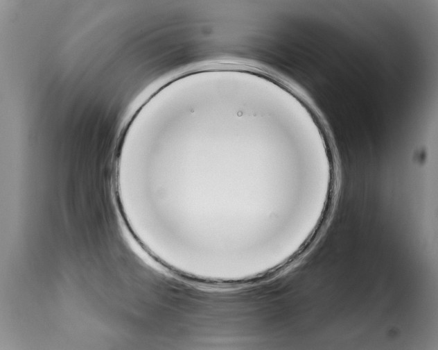 X0000114241476200911201122