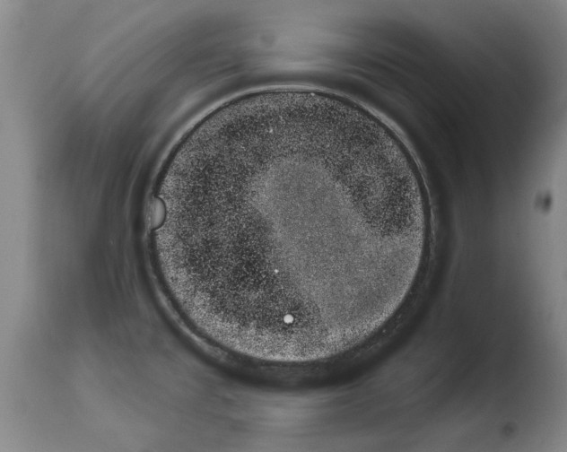 X0000114241477200911201122