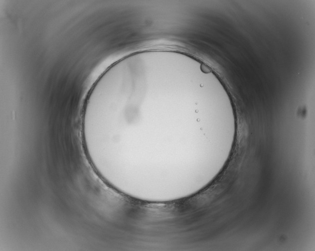 X0000114241478200911201122