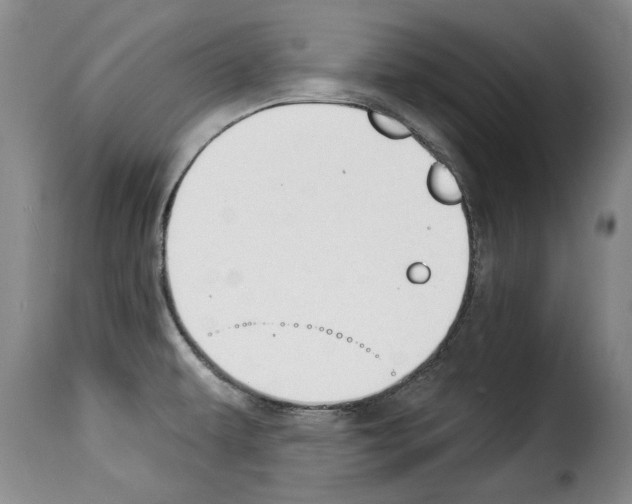 X0000114241479200911201122