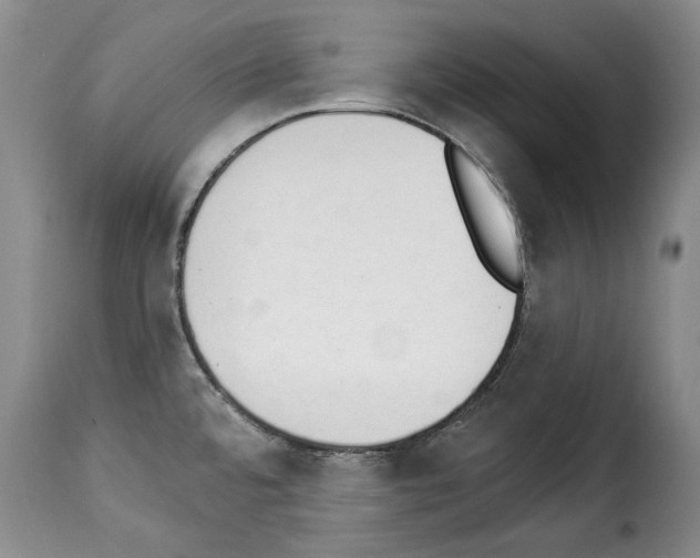 X0000114241480200911201122