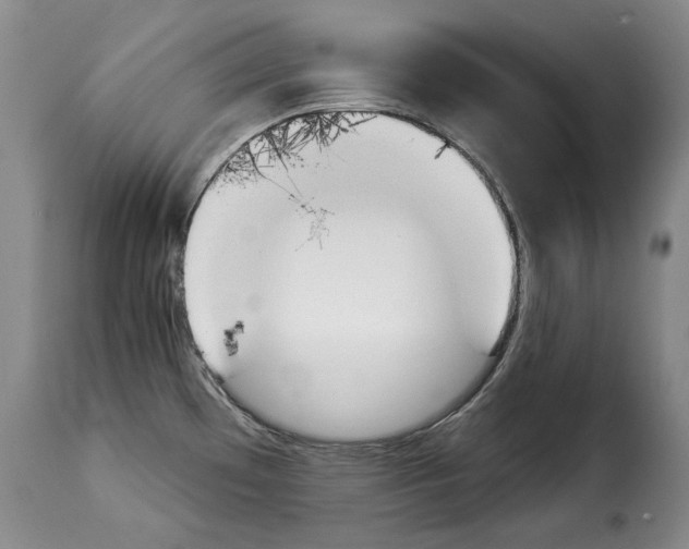 X0000114241481200911201122