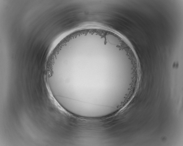 X0000114241488200911201121