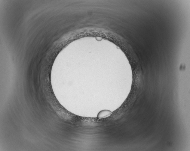 X0000114241489200911201121