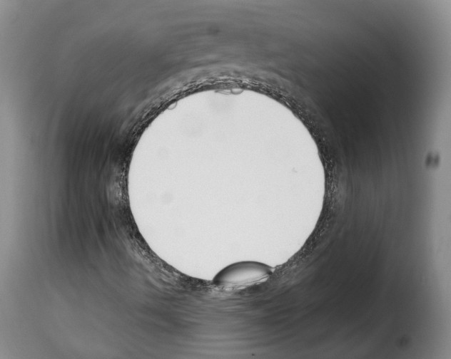 X0000114241490200911201121