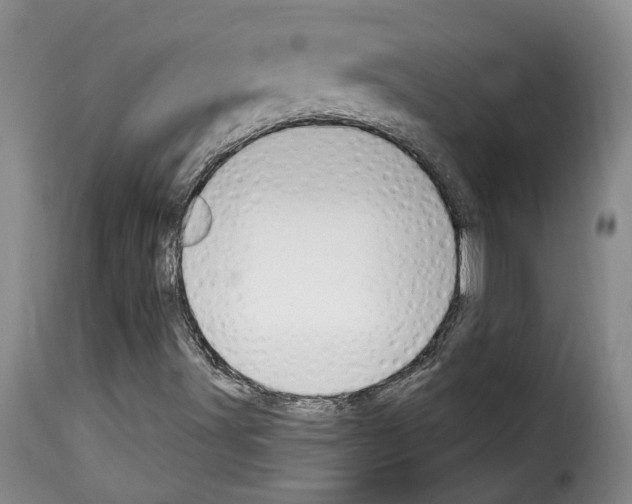 X0000114241491200911201121