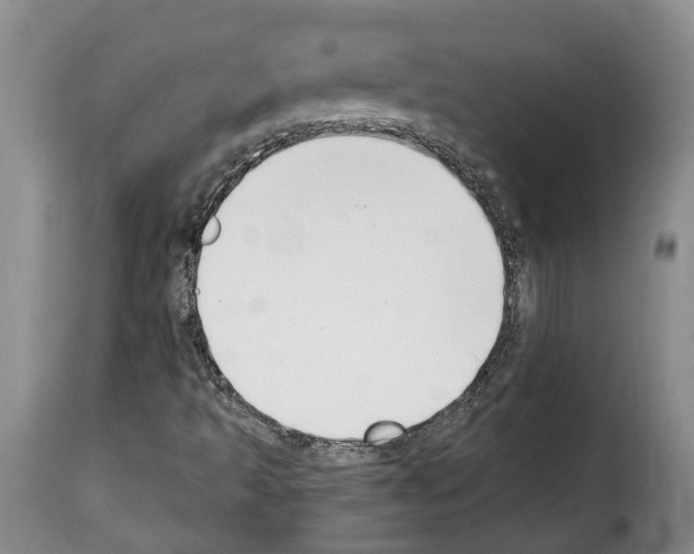 X0000114241493200911201121