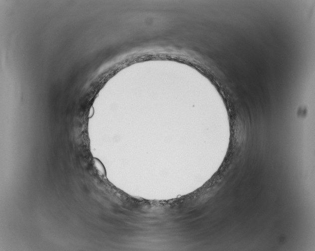 X0000114241494200911201121