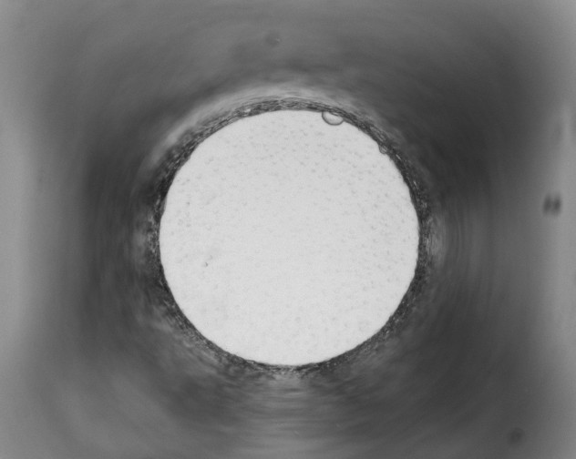 X0000114241495200911201121