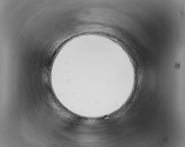 X0000114241497200911201121