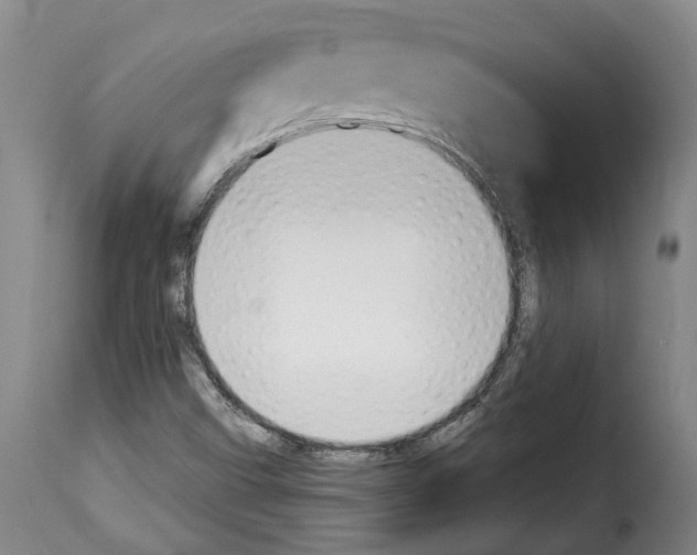 X0000114241499200911201121