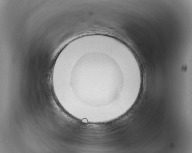 X0000114241500200911201121