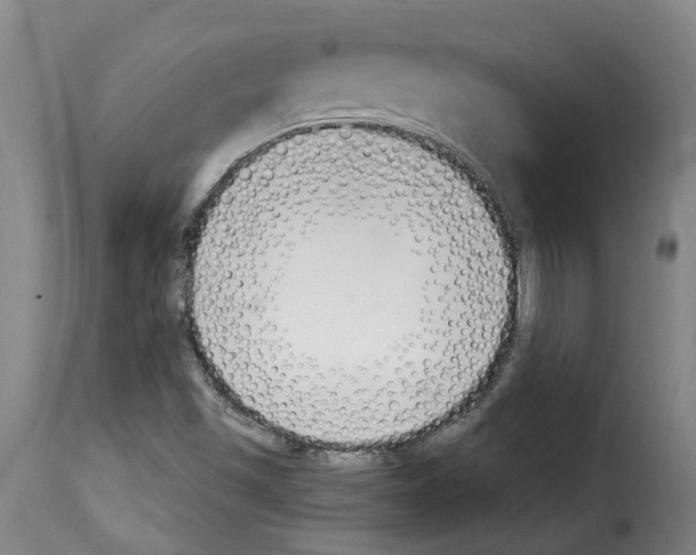 X0000114241501200911201121