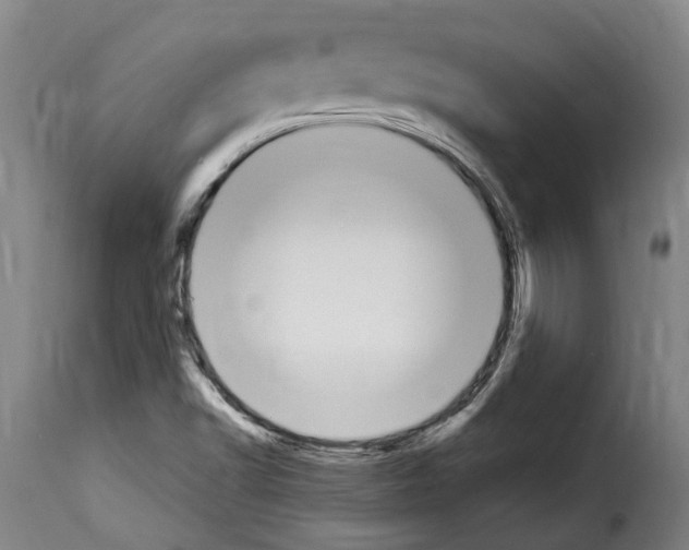 X0000114241502200911201121