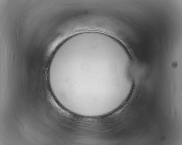 X0000114241503200911201121