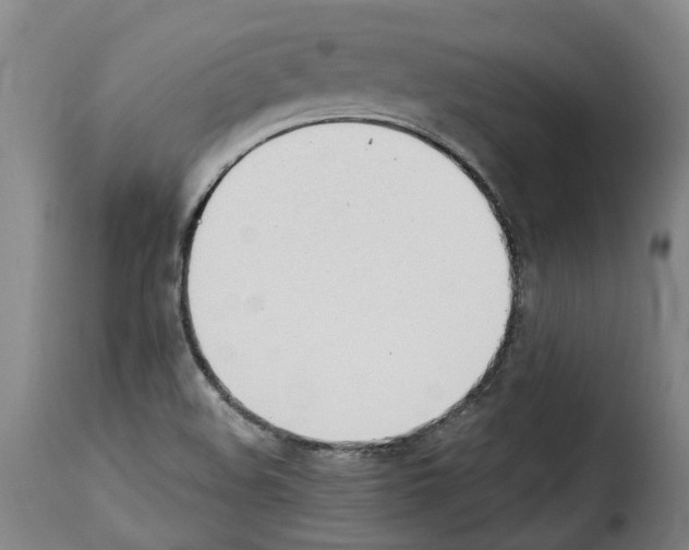 X0000114241508200911201121