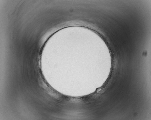 X0000114241509200911201121