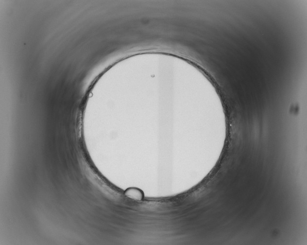 X0000114241510200911201121