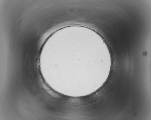 X0000114241511200911201121