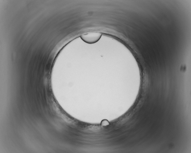 X0000114241513200911201121