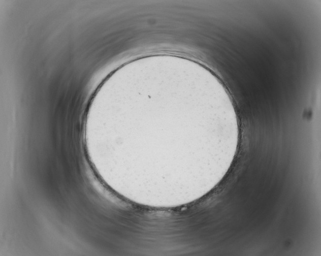 X0000114241515200911201121