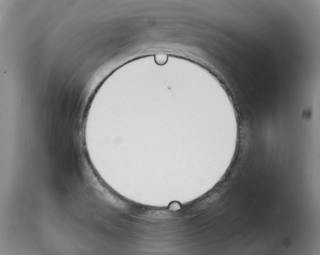 X0000114241517200911201121