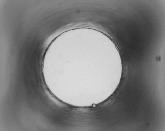 X0000114241519200911201121