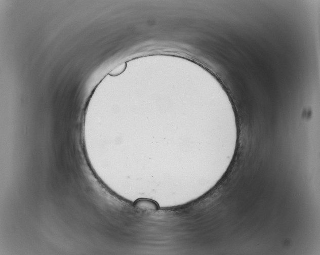 X0000114241520200911201121