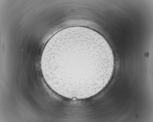 X0000114241521200911201121