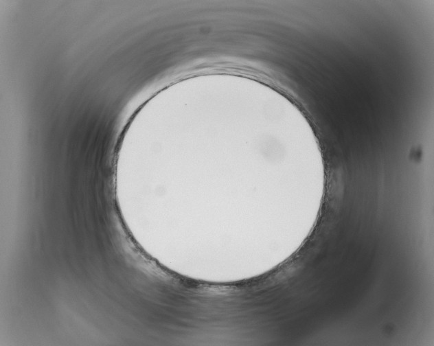 X0000114241522200911201121