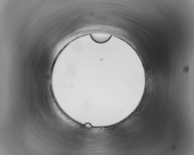 X0000114241523200911201121