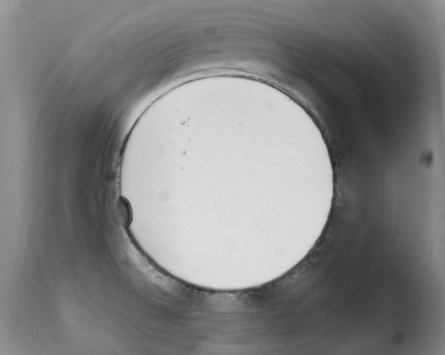 X0000114241524200911201121