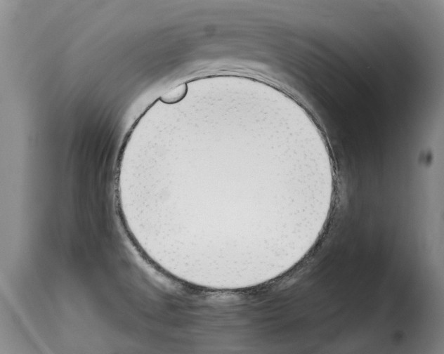 X0000114241525200911201121