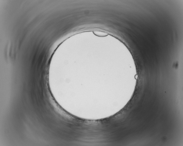 X0000114241526200911201121