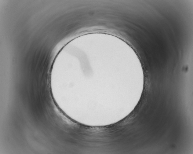 X0000114241527200911201121