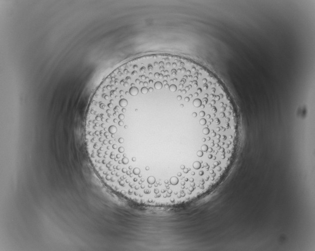 X0000114241529200911201121