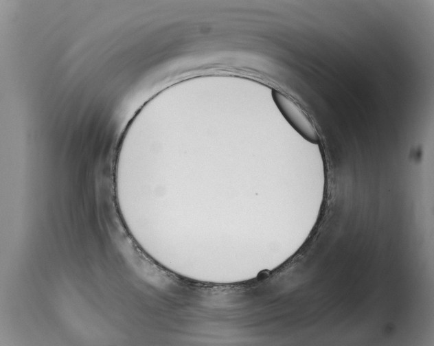 X0000114241530200911201121