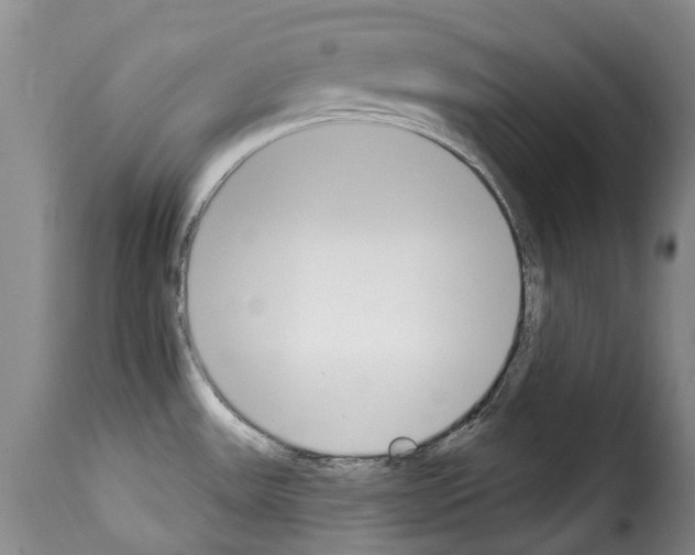 X0000114241531200911201121