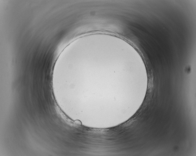 X0000114241532200911201121