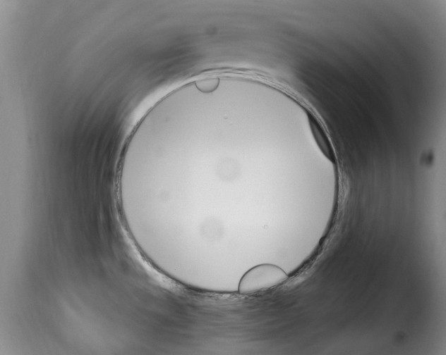 X0000114241533200911201121