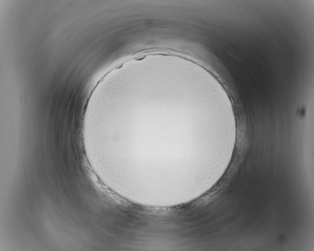 X0000114241534200911201121