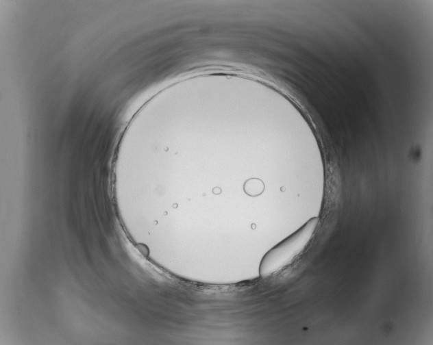 X0000114241535200911201121