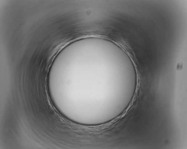 X0000114390001200910161043